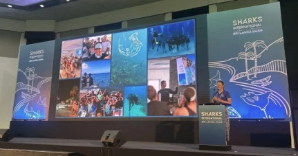 DoE Shark Research Team attends world’s largest shark conference in Sri Lanka