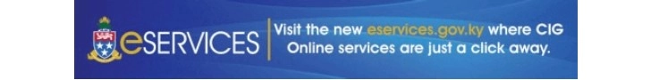Government E Services