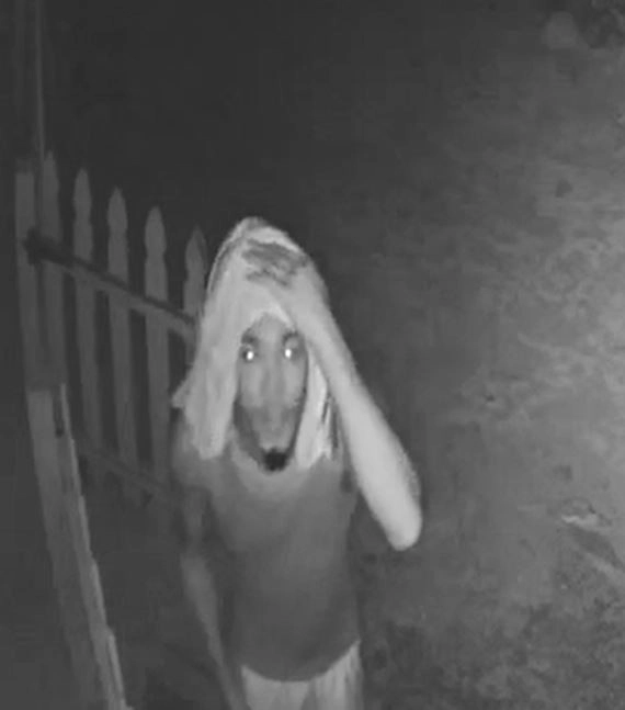 Police Seek Public Assistance to Identify Burglars