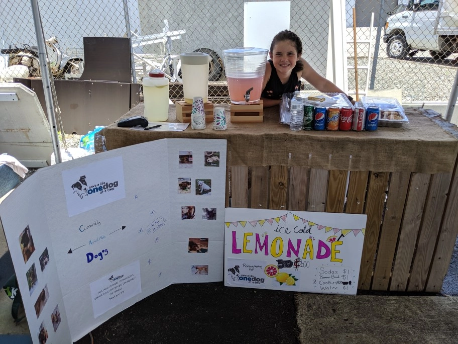 Girl Sells Lemonades for Dog Charity