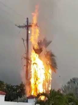 Outage in the Lime Tree Bay area on Saturday