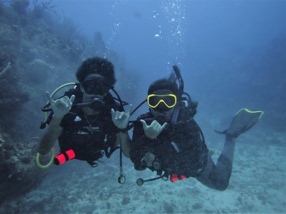 Scholarships available for Young Environmentalist Leadership Course with CCMI