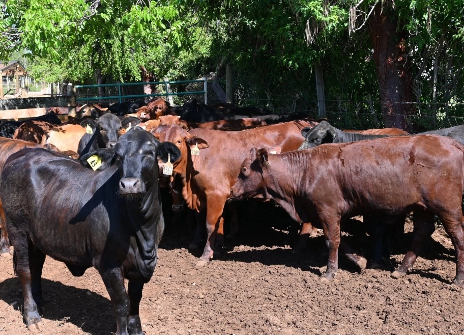 Minister Encourages Support of Upcoming Agriculture Shows