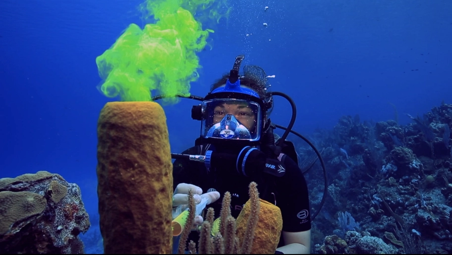 CCMI brings the ocean directly to classrooms around the world through underwater live-stream lessons