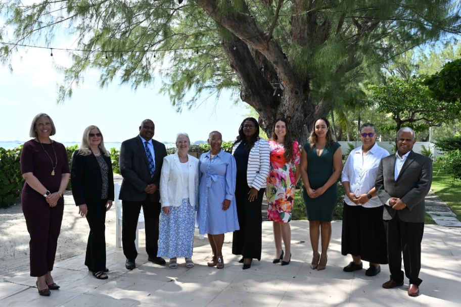 Domestic Observers Submit Final Election Report