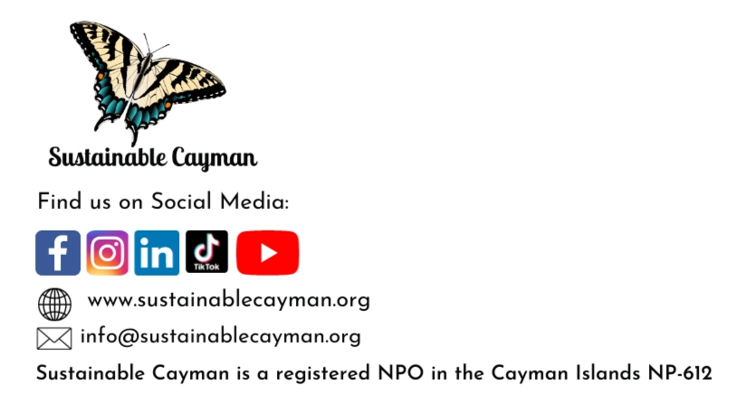 Sustainable Cayman Supports NCC and EAB Call for Route B2 for East-West Arterial (EWA)