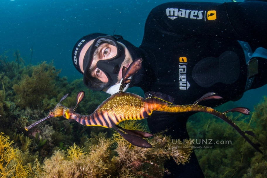 CCMI Launches Grand Cayman Ocean Outreach Campaign While Coral Reefs are Struggling