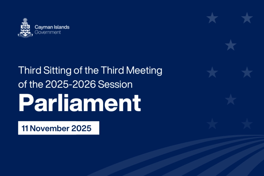 In Parliament – Summary for 11 November 2025