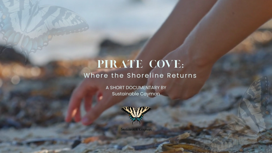 Sustainable Cayman Launches “We Are Sustainable Cayman” Campaign – Bringing Local Stories of Stewardship and Shoreline Resilience to Life