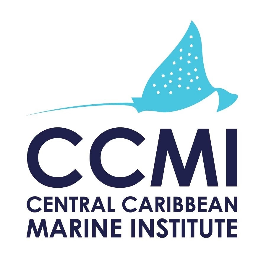 CCMI’s YOUNG ENVIRONMENTALIST LEADERSHIP COURSE TRAINS AND EMPOWERS FUTURE OCEAN AMBASSADORS