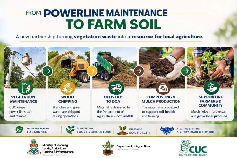 Department of Agriculture and CUC Partner to Repurpose Vegetation Material for Agricultural Use