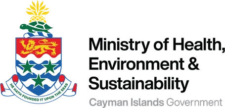 Ministry of Health, Environment and Sustainability provides update on HSA Governance Assessment