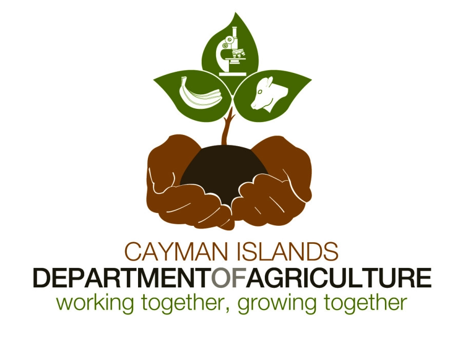 Department of Agriculture Marks International Day of Plant Health with Community Engagement Event