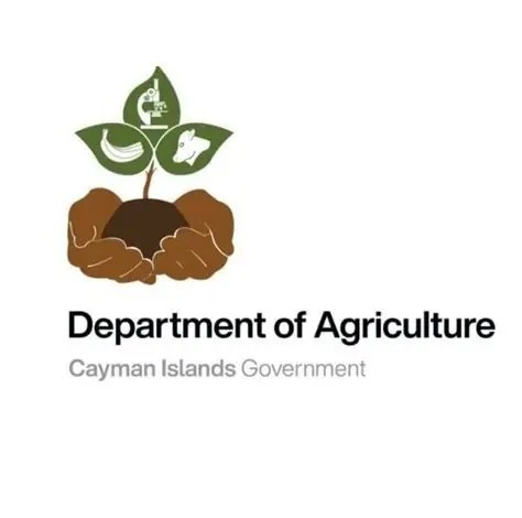 Department of Agriculture : What Residents Need To Know About Whitefly