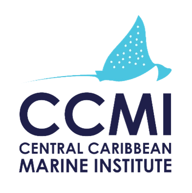 CCMI Announces Finalists for the Doug Allan Ocean Sustainability Awards